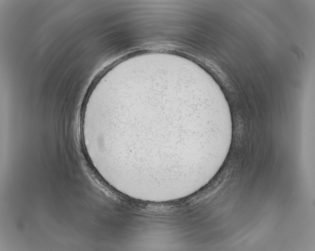 X0000110860840200907301350