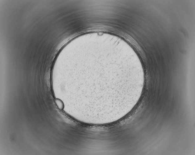 X0000110860842200907301350