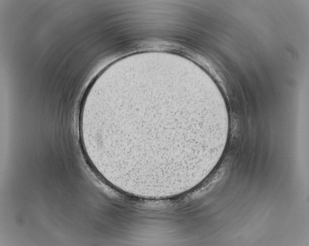 X0000110860843200907301350