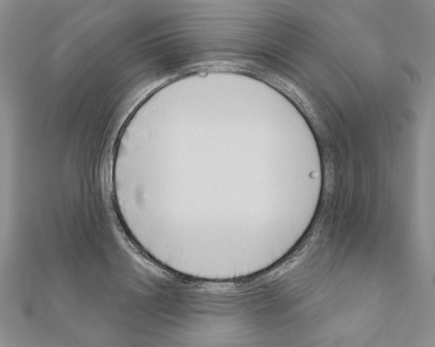 X0000110860844200907301350