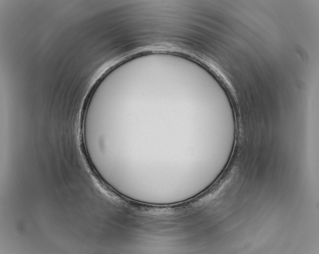 X0000110860845200907301350