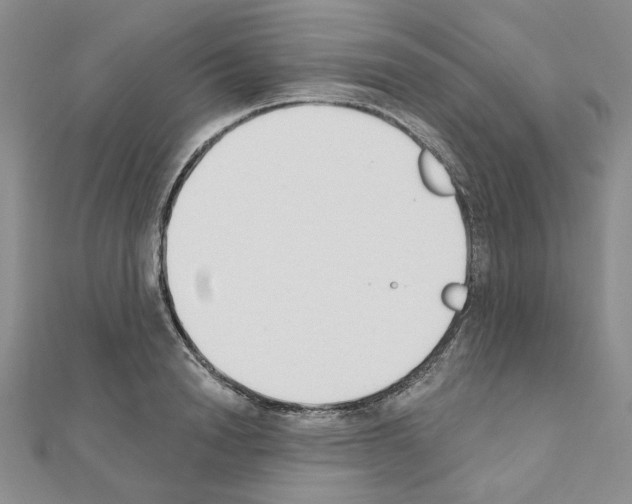X0000110860846200907301350