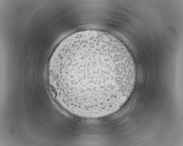 X0000110860847200907301350