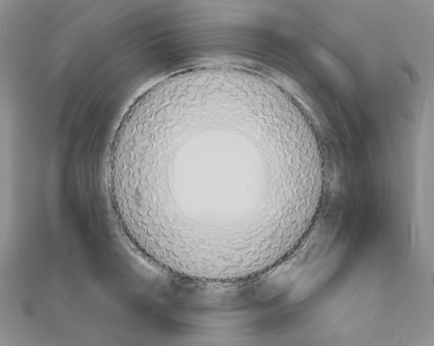 X0000110860848200907301350