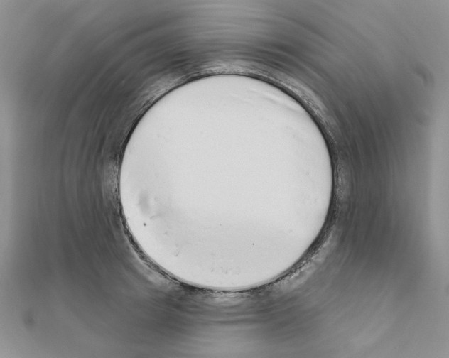 X0000110860849200907301350