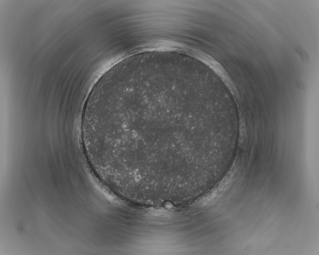 X0000110860850200907301350