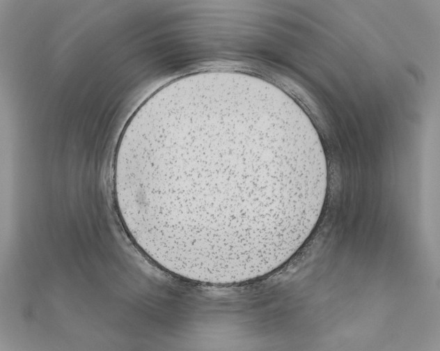 X0000110860852200907301350