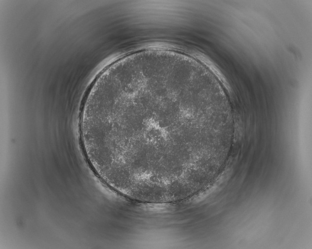 X0000110860853200907301350
