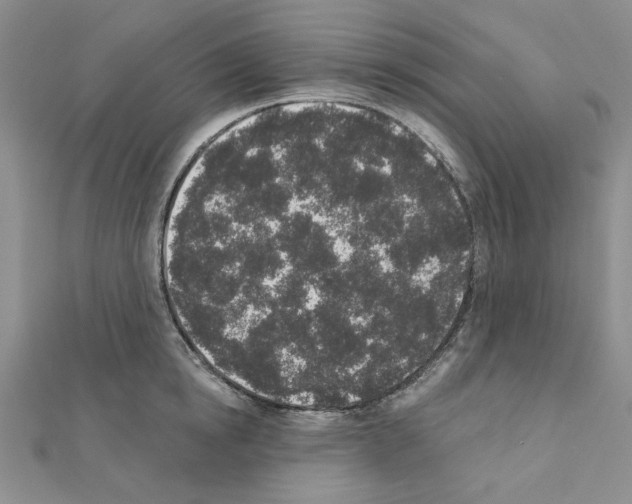 X0000110860854200907301350