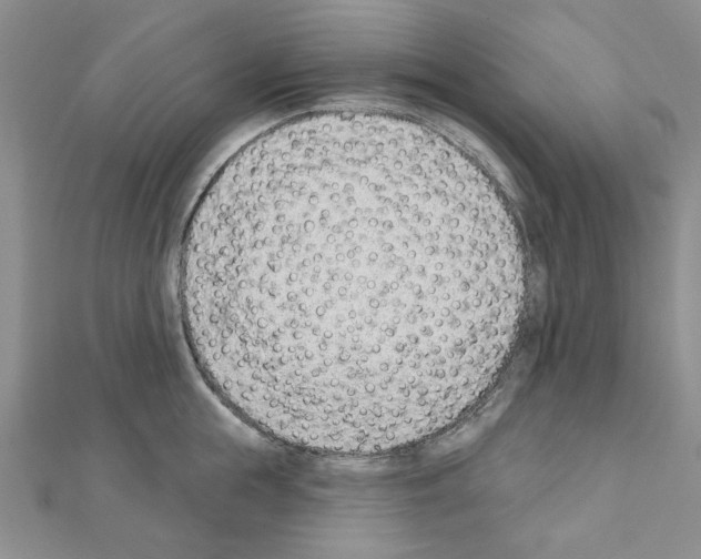 X0000110860855200907301350