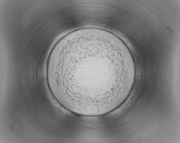 X0000110860856200907301350