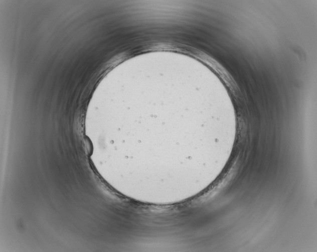X0000110860857200907301350