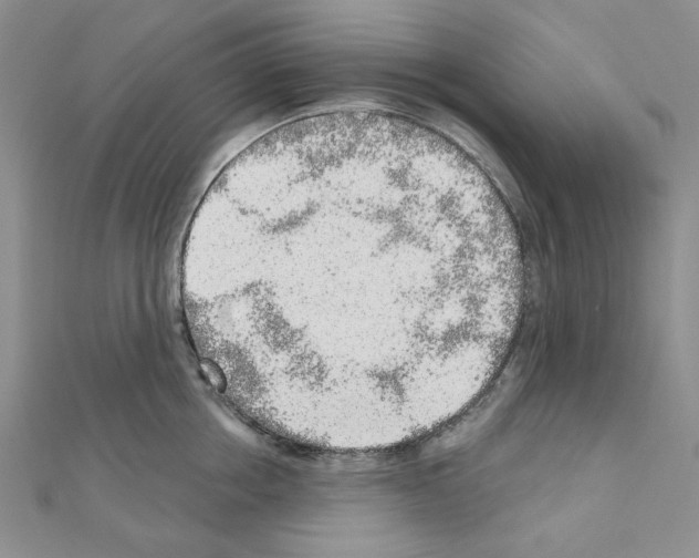 X0000110860858200907301350