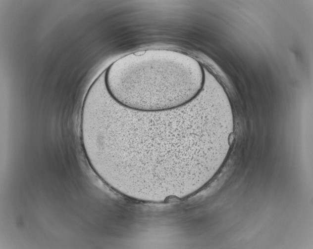 X0000110860860200907301350