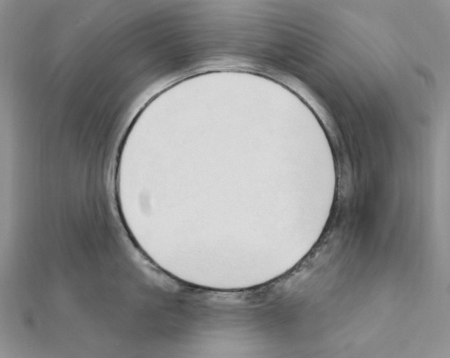 X0000110860861200907301350