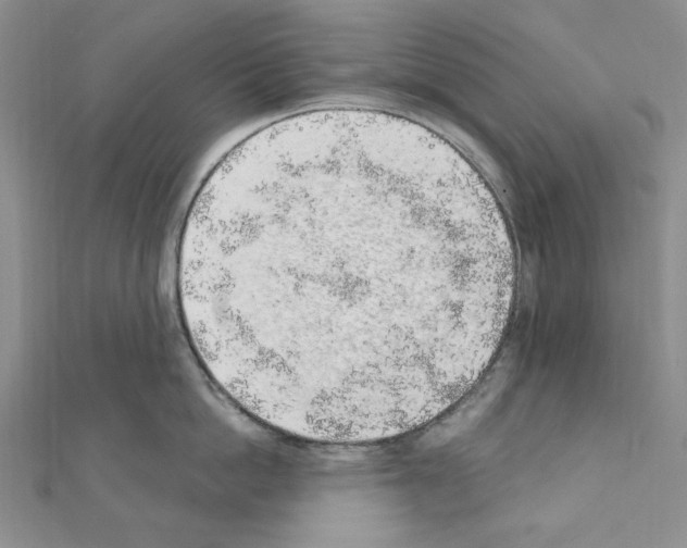 X0000110860862200907301350