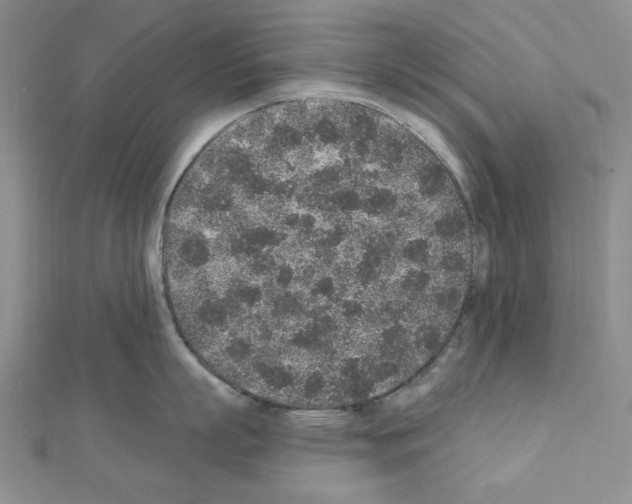 X0000110860863200907301350