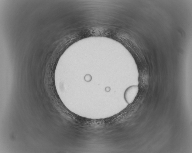 X0000110860865200907301350