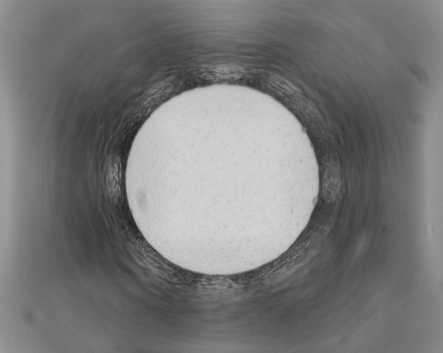 X0000110860866200907301350