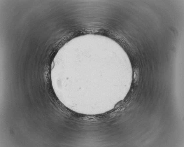 X0000110860867200907301350