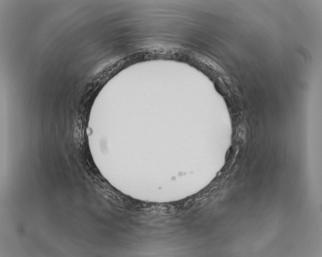 X0000110860869200907301350