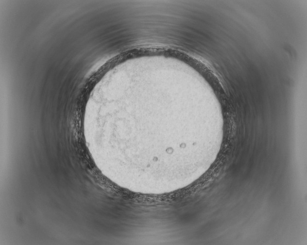 X0000110860871200907301350