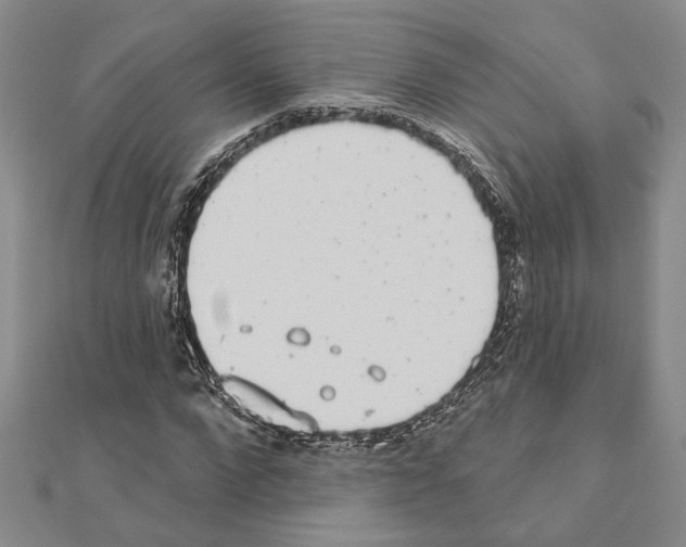 X0000110860872200907301350