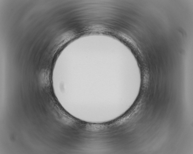 X0000110860873200907301350