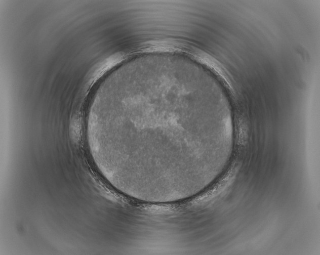 X0000110860874200907301350