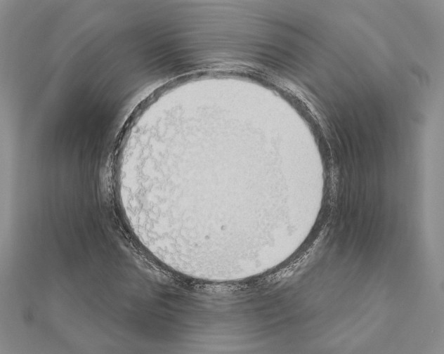 X0000110860875200907301350
