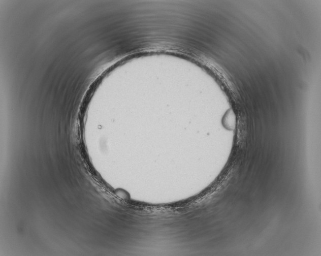 X0000110860876200907301350