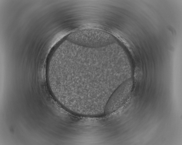 X0000110860877200907301350
