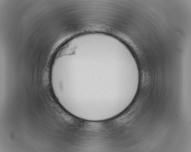X0000110860878200907301350