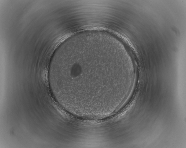 X0000110860881200907301350