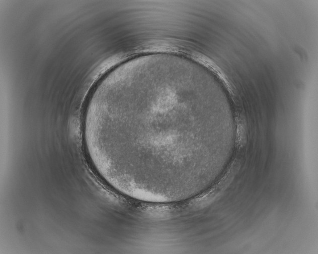 X0000110860882200907301350