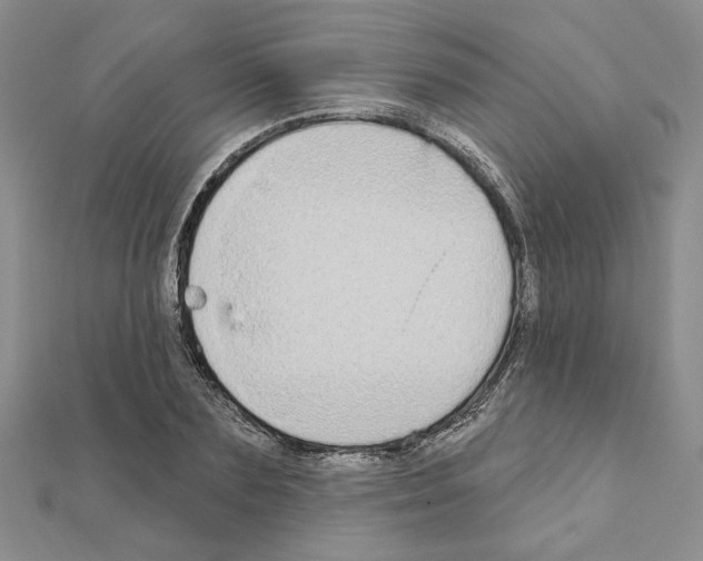 X0000110860883200907301350