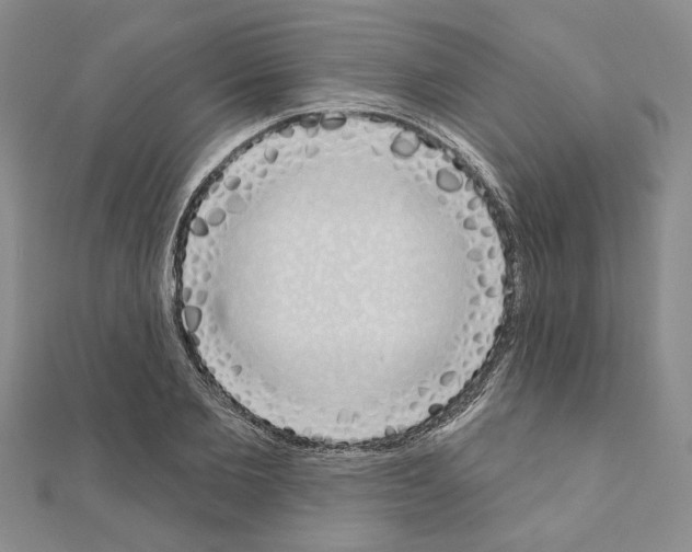 X0000110860885200907301350