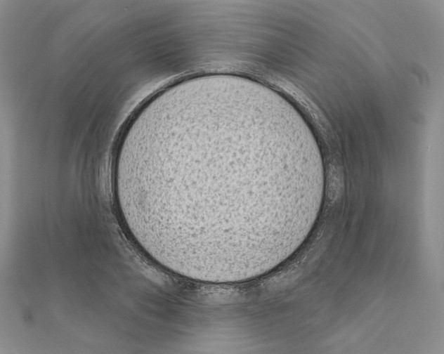 X0000110860886200907301350