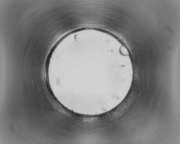 X0000110860887200907301350