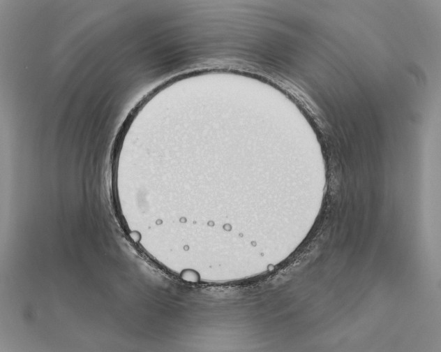 X0000110860888200907301350