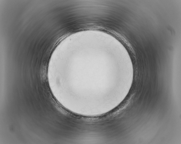 X0000110860889200907301350