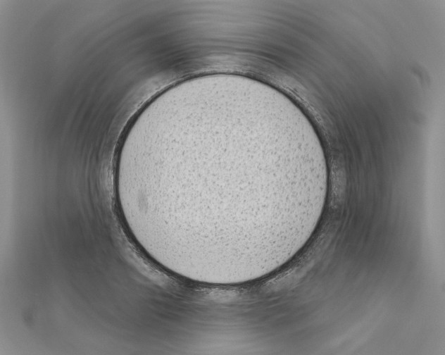 X0000110860890200907301350