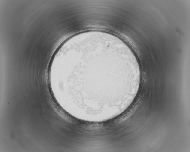 X0000110860891200907301349