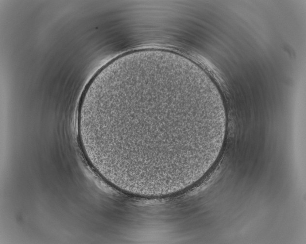 X0000110860892200907301349