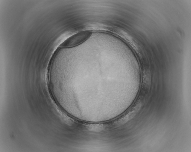 X0000110860893200907301349