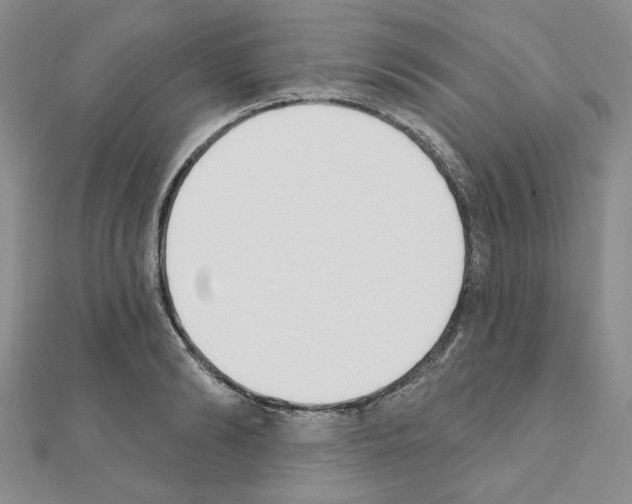 X0000110860894200907301349