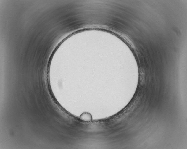 X0000110860895200907301349