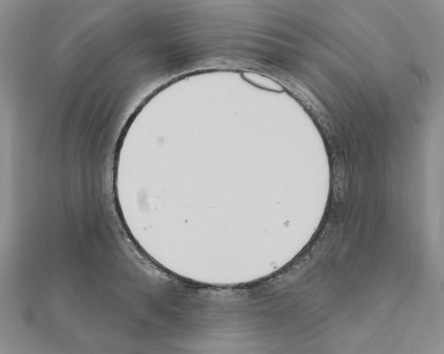 X0000110860896200907301349