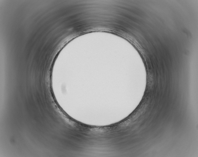 X0000110860898200907301349