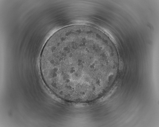 X0000110860899200907301349